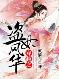 穿越之盗妃风华