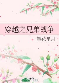 穿越之兄弟战争