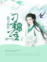 驸马接招:刁蛮公主嫁到