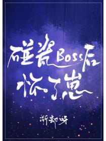 碰瓷boss后怀了崽