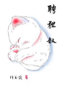 聘狸奴