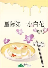 星际第一小白花