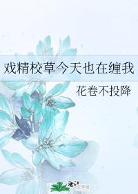 戏精校草今天也在缠我