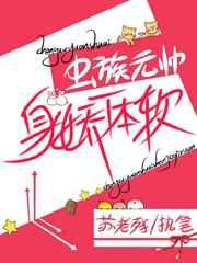 虫族元帅身娇命贵
