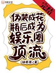 偽裝成花瓶後成為娛樂圈頂流