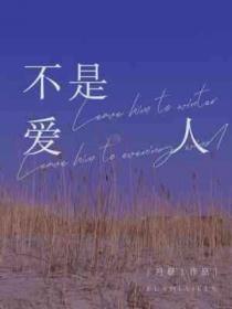不是愛人