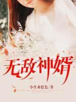 无敌神婿